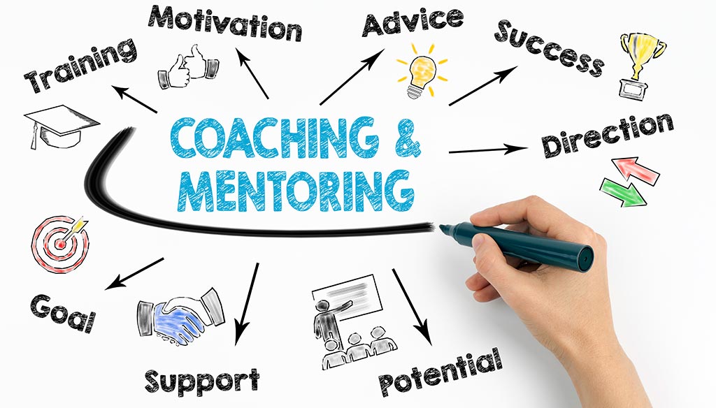 Conceptschema coaching en mentoring